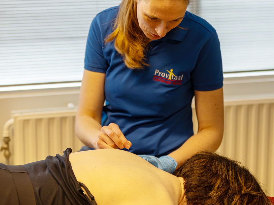dry-needling-new_CT-01_Provotaal-Meeden dry-needling-new_CT-01_Provotaal-Meeden